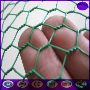 China Green Carbon Steel Chicken Wire Mesh Fencing Electric Poultrynetting from China wholesale