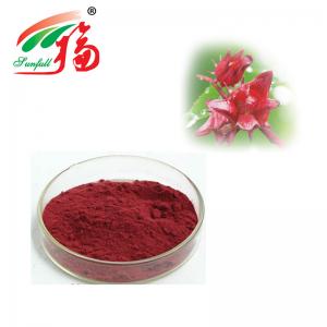 China Hibiscus Flower Extract 10:1 Polyphenol Organic Acid Anthocyanin Extract Powder wholesale
